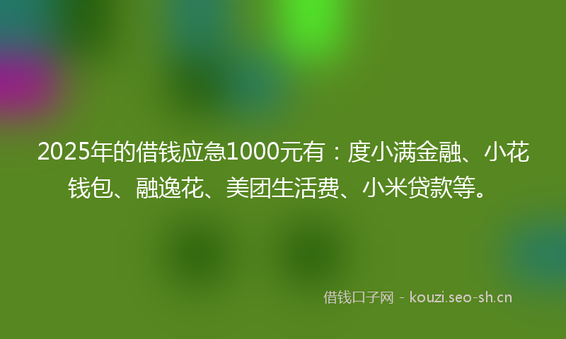 2025年的借钱应急1000元有：度小满金融、小花钱包、融逸花、美团生活费、小米贷款等。