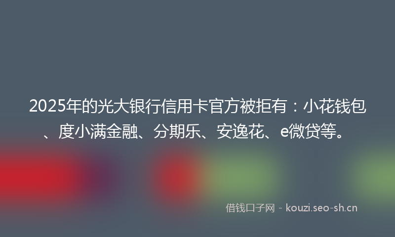 2025年的光大银行信用卡官方被拒有：小花钱包、度小满金融、分期乐、安逸花、e微贷等。