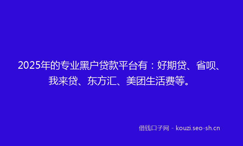 2025年的专业黑户贷款平台有：好期贷、省呗、我来贷、东方汇、美团生活费等。