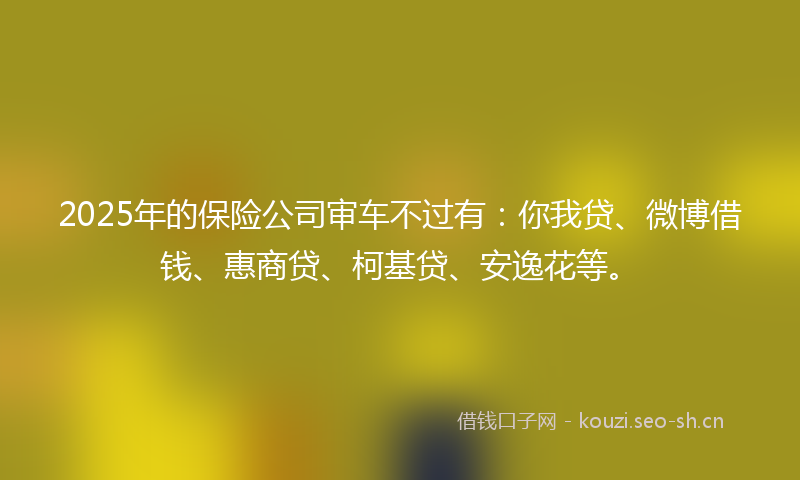 2025年的保险公司审车不过有:你我贷、微博借钱、惠商贷、柯基贷、安逸花等。