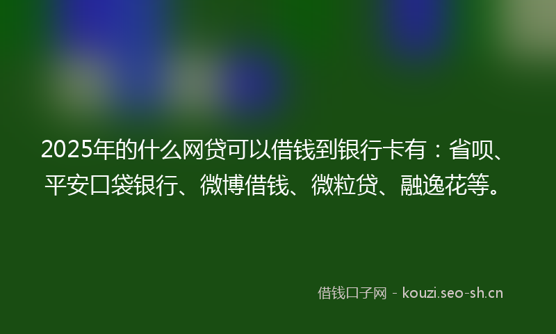 2025年的什么网贷可以借钱到银行卡有：省呗、平安口袋银行、微博借钱、微粒贷、融逸花等。