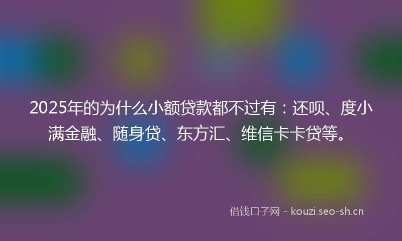 2025年的为什么小额贷款都不过有：还呗、度小满金融、随身贷、东方汇、维信卡卡贷等。