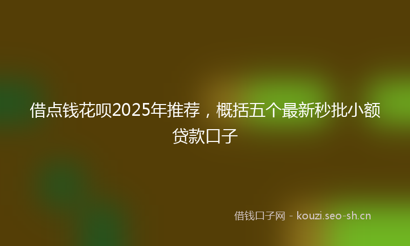 借点钱花呗2025年推荐，概括五个最新秒批小额贷款口子