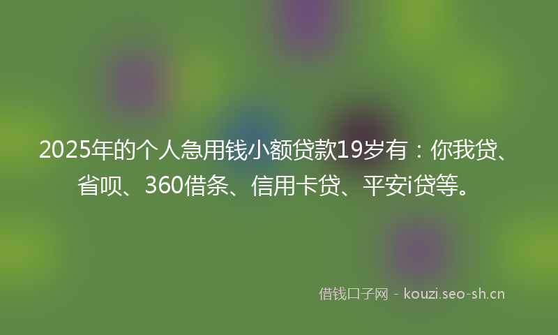 2025年的个人急用钱小额贷款19岁有：你我贷、省呗、360借条、信用卡贷、平安i贷等。