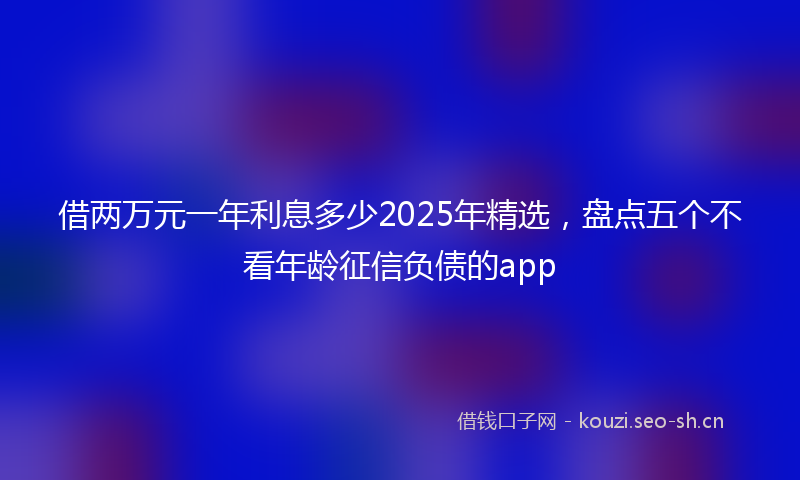 借两万元一年利息多少2025年精选，盘点五个不看年龄征信负债的app
