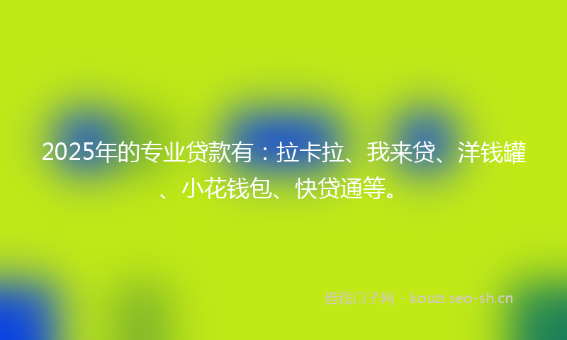 2025年的专业贷款有：拉卡拉、我来贷、洋钱罐、小花钱包、快贷通等。