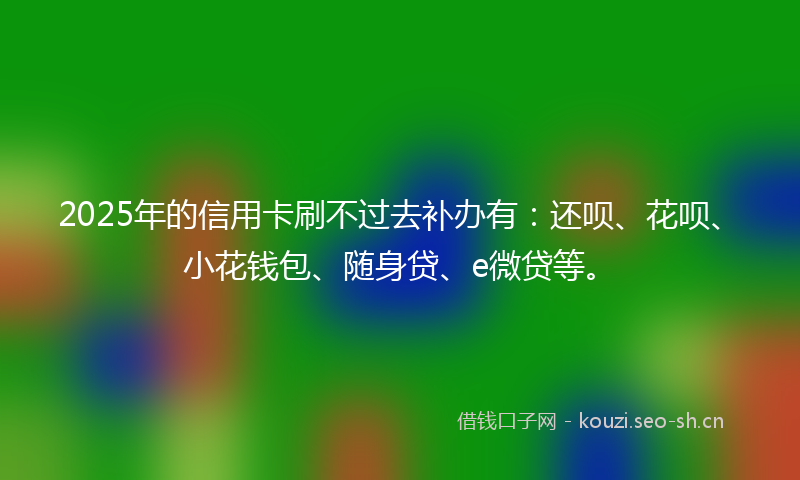 2025年的信用卡刷不过去补办有:还呗、花呗、小花钱包、随身贷、e微贷等。