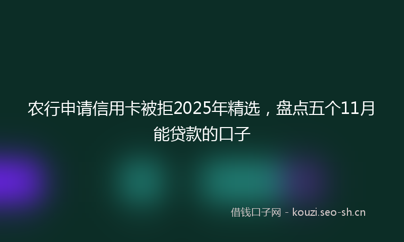 农行申请信用卡被拒2025年精选，盘点五个11月能贷款的口子