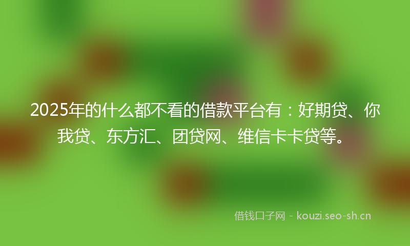 2025年的什么都不看的借款平台有：好期贷、你我贷、东方汇、团贷网、维信卡卡贷等。