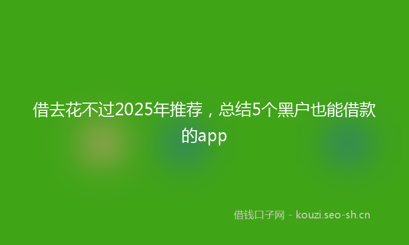 借去花不过2025年推荐，总结5个黑户也能借款的app