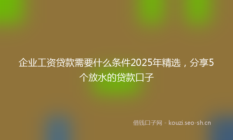 企业工资贷款需要什么条件2025年精选,分享5个放水的贷款口子