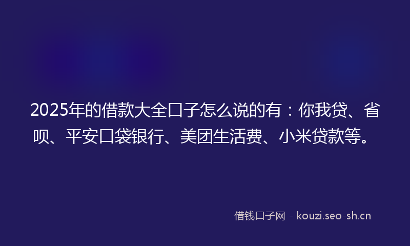 2025年的借款大全口子怎么说的有:你我贷、省呗、平安口袋银行、美团生活费、小米贷款等。