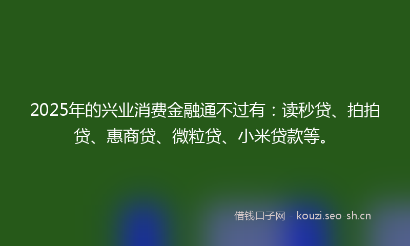 2025年的兴业消费金融通不过有:读秒贷、拍拍贷、惠商贷、微粒贷、小米贷款等。