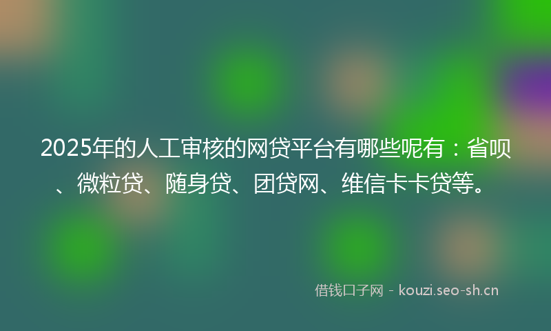 2025年的人工审核的网贷平台有哪些呢有：省呗、微粒贷、随身贷、团贷网、维信卡卡贷等。