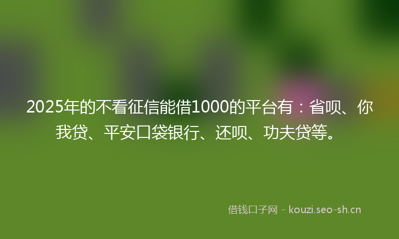 2025年的不看征信能借1000的平台有：省呗、你我贷、平安口袋银行、还呗、功夫贷等。