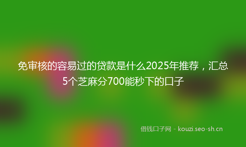 免审核的容易过的贷款是什么2025年推荐，汇总5个芝麻分700能秒下的口子