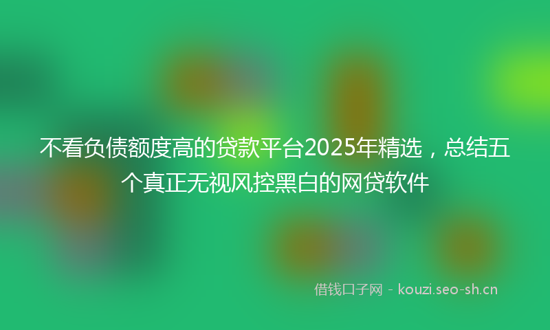 不看负债额度高的贷款平台2025年精选，总结五个真正无视风控黑白的网贷软件