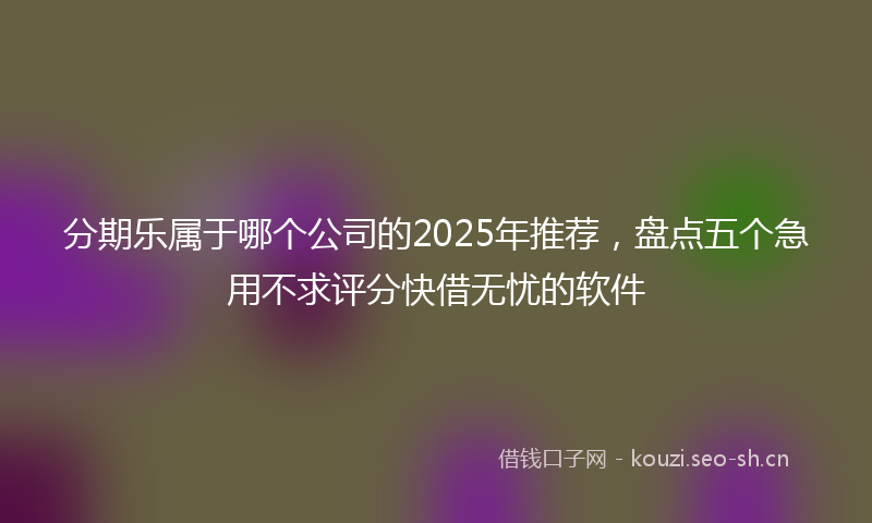 分期乐属于哪个公司的2025年推荐,盘点五个急用不求评分快借无忧的软件