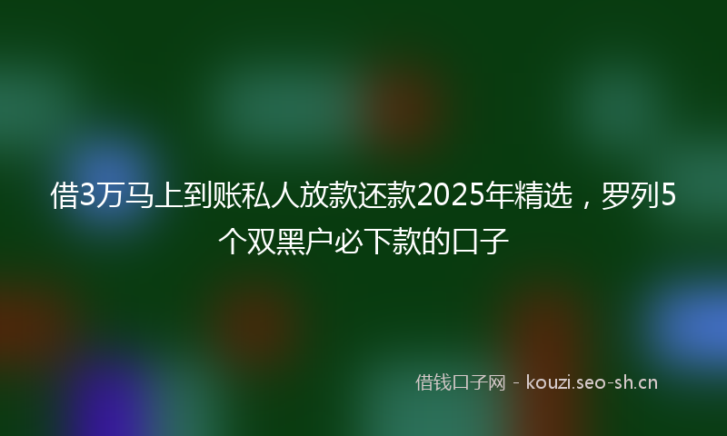 借3万马上到账私人放款还款2025年精选，罗列5个双黑户必下款的口子