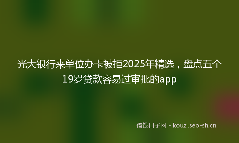 光大银行来单位办卡被拒2025年精选，盘点五个19岁贷款容易过审批的app