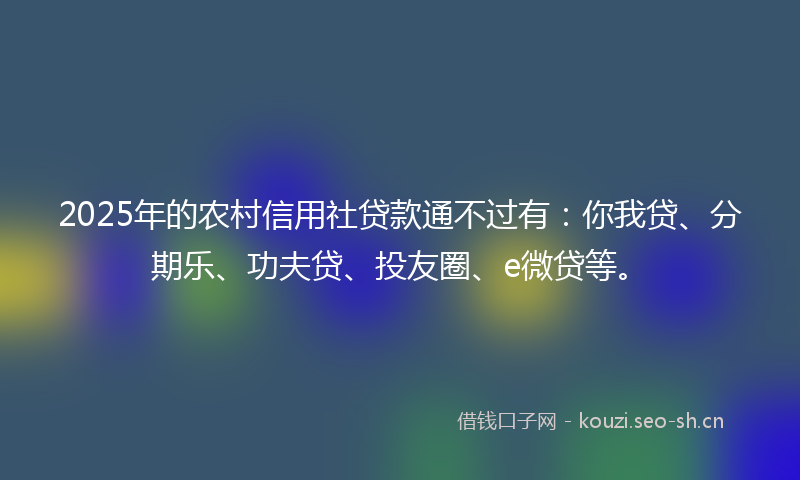 2025年的农村信用社贷款通不过有：你我贷、分期乐、功夫贷、投友圈、e微贷等。