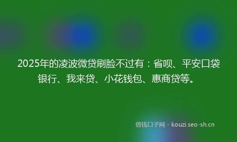 2025年的凌波微贷刷脸不过有：省呗、平安口袋银行、我来贷、小花钱包、惠商贷等。