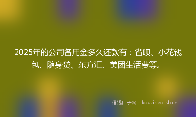 2025年的公司备用金多久还款有：省呗、小花钱包、随身贷、东方汇、美团生活费等。