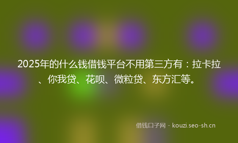 2025年的什么钱借钱平台不用第三方有：拉卡拉、你我贷、花呗、微粒贷、东方汇等。