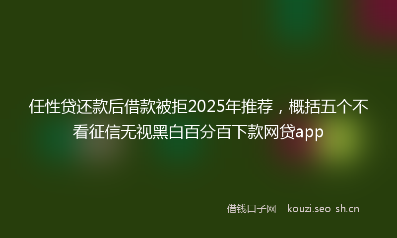 任性贷还款后借款被拒2025年推荐，概括五个不看征信无视黑白百分百下款网贷app