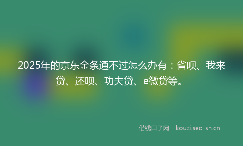 2025年的京东金条通不过怎么办有：省呗、我来贷、还呗、功夫贷、e微贷等。