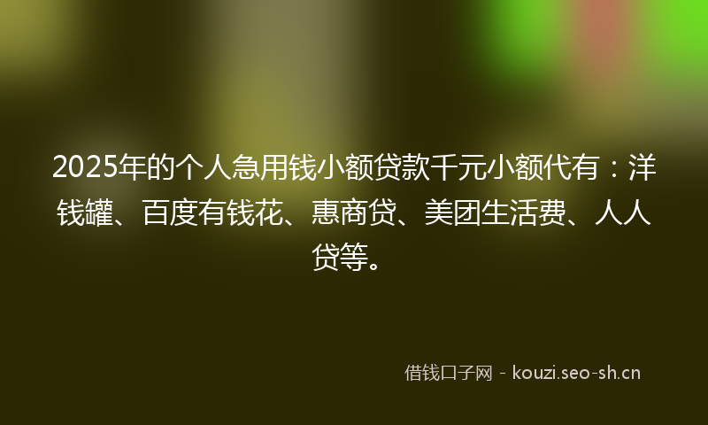 2025年的个人急用钱小额贷款千元小额代有：洋钱罐、百度有钱花、惠商贷、美团生活费、人人贷等。