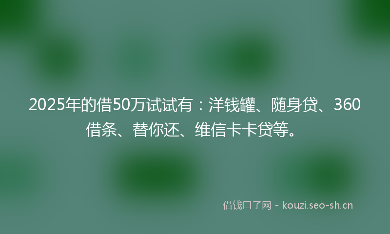 2025年的借50万试试有:洋钱罐、随身贷、360借条、替你还、维信卡卡贷等。