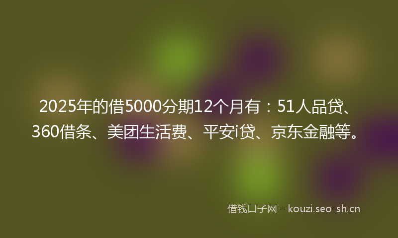 2025年的借5000分期12个月有:51人品贷、360借条、美团生活费、平安i贷、京东金融等。
