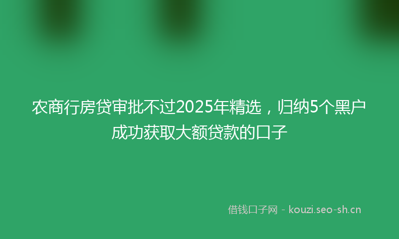 农商行房贷审批不过2025年精选,归纳5个黑户成功获取大额贷款的口子