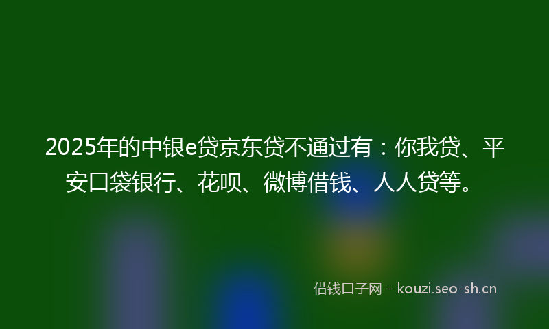 2025年的中银e贷京东贷不通过有：你我贷、平安口袋银行、花呗、微博借钱、人人贷等。