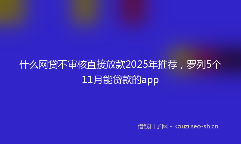 什么网贷不审核直接放款2025年推荐，罗列5个11月能贷款的app