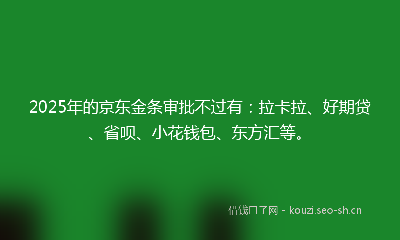 2025年的京东金条审批不过有：拉卡拉、好期贷、省呗、小花钱包、东方汇等。