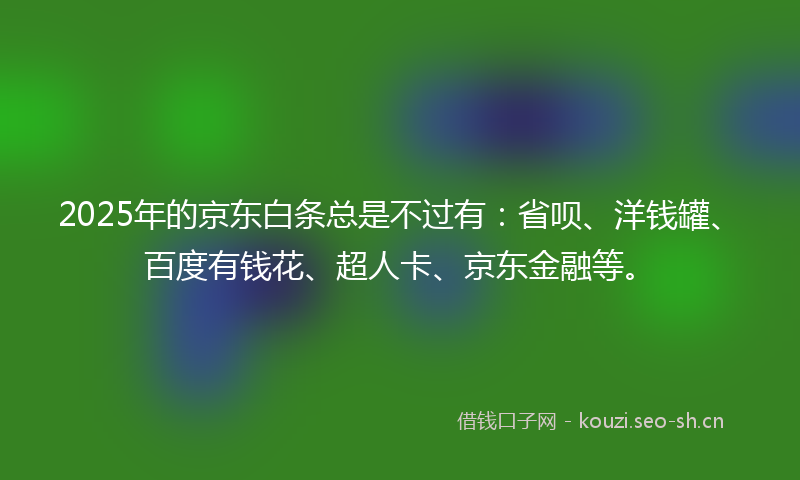 2025年的京东白条总是不过有：省呗、洋钱罐、百度有钱花、超人卡、京东金融等。