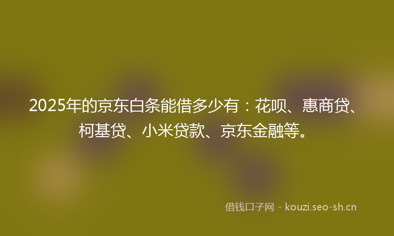 2025年的京东白条能借多少有:花呗、惠商贷、柯基贷、小米贷款、京东金融等。