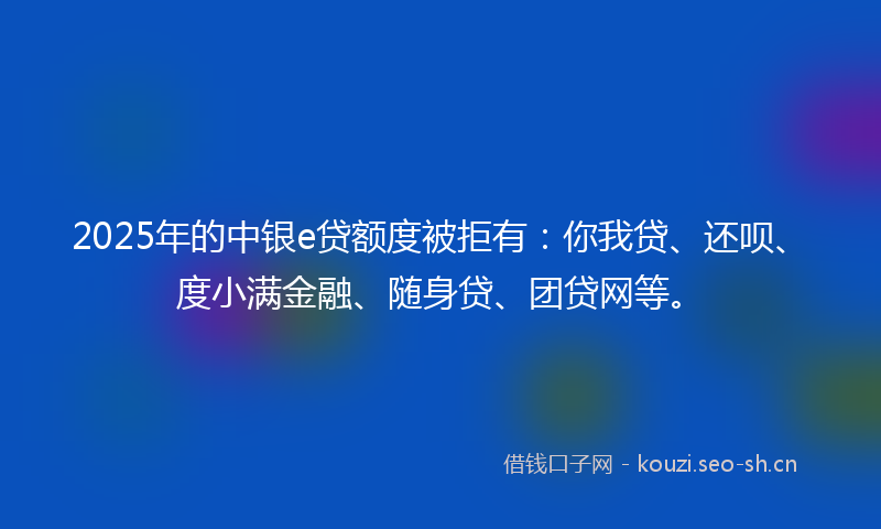 2025年的中银e贷额度被拒有：你我贷、还呗、度小满金融、随身贷、团贷网等。