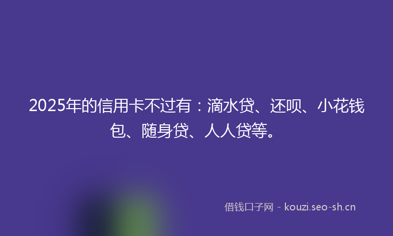 2025年的信用卡不过有：滴水贷、还呗、小花钱包、随身贷、人人贷等。
