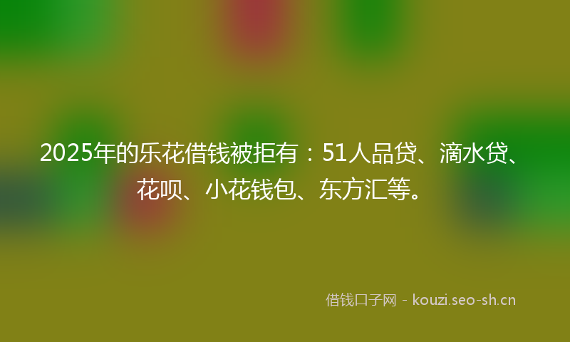 2025年的乐花借钱被拒有：51人品贷、滴水贷、花呗、小花钱包、东方汇等。