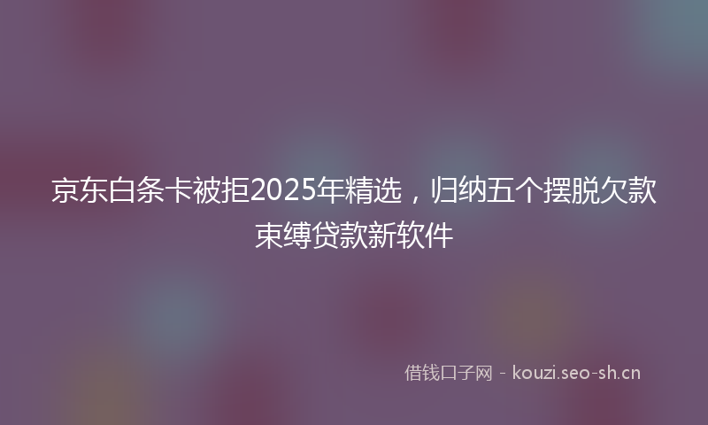 京东白条卡被拒2025年精选,归纳五个摆脱欠款束缚贷款新软件