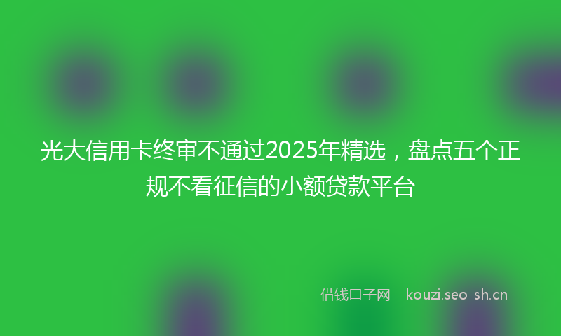 光大信用卡终审不通过2025年精选,盘点五个正规不看征信的小额贷款平台