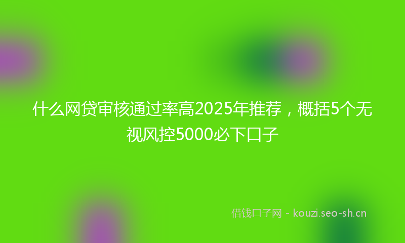 什么网贷审核通过率高2025年推荐，概括5个无视风控5000必下口子