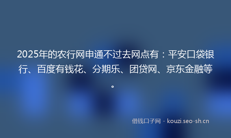 2025年的农行网申通不过去网点有：平安口袋银行、百度有钱花、分期乐、团贷网、京东金融等。
