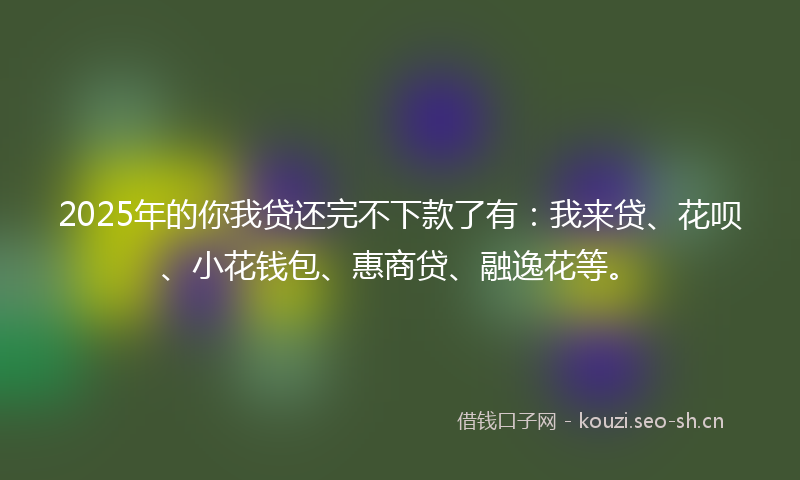 2025年的你我贷还完不下款了有：我来贷、花呗、小花钱包、惠商贷、融逸花等。