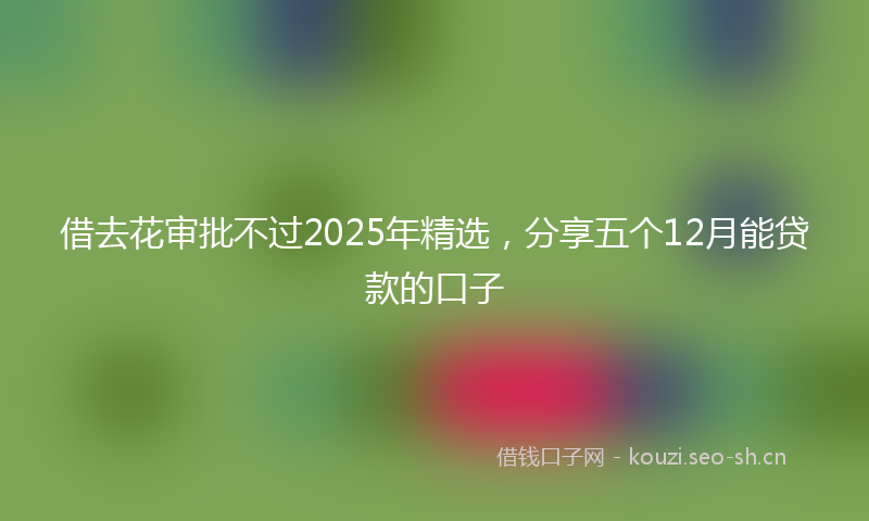 借去花审批不过2025年精选，分享五个12月能贷款的口子