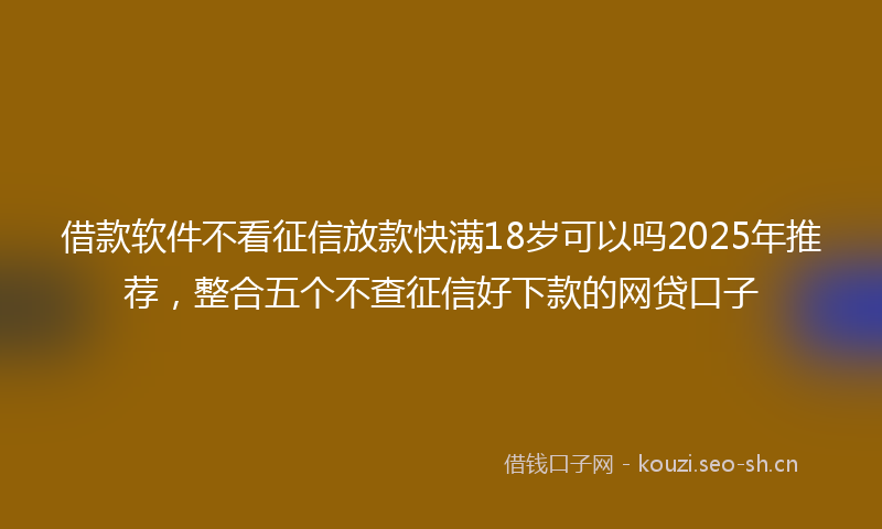 借款软件不看征信放款快满18岁可以吗2025年推荐,整合五个不查征信好下款的网贷口子