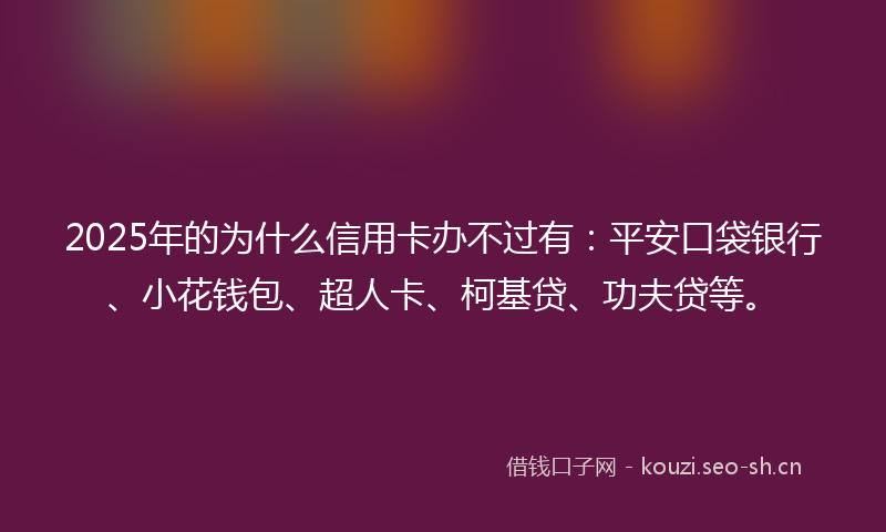 2025年的为什么信用卡办不过有：平安口袋银行、小花钱包、超人卡、柯基贷、功夫贷等。